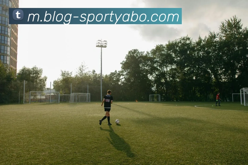 亚博体育平台生态图